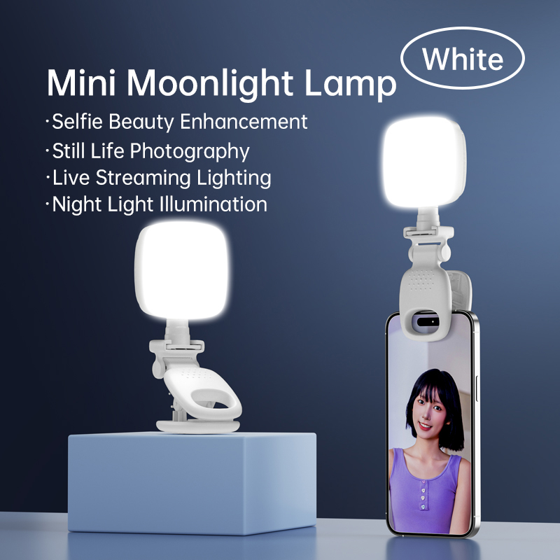 Photography Lighting Handheld - ポータブルLEDセルフィーライトカメラミニフィルライト充電式スマホナイトライトUSBクランプランプ、ノートパソコン、タブレット、TikTokビデオ用